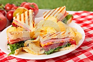 Summer picnic club sandwich ham and cheese, potato crisps