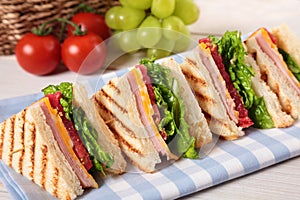 Summer picnic club sandwich ham and cheese in a row