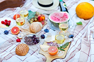 Summer Picnic . Food and drink concept.