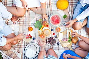 Summer Picnic. Food and drink concept.