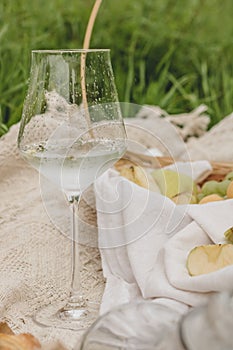 Summer picnic on the grass near the wild forest.