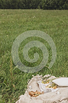 Summer picnic on the grass near the wild forest.