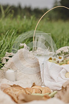 Summer picnic on the grass near the wild forest.