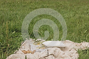 Summer picnic on the grass near the wild forest.