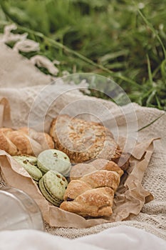 Summer picnic on the grass near the wild forest.