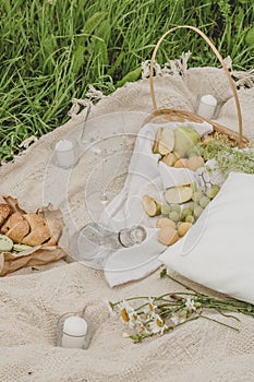 Summer picnic on the grass near the wild forest.