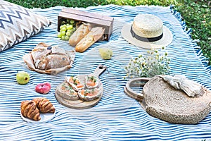 Summer picnic on the grass, sandwiches with salmon, grape, bakery, fruits