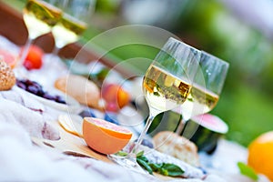 Summer Picnic on the Green Grass. Food and drink concept.