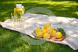 Summer picnic on green grass with glass jug of cool lemonade, three glasses with straws and whole lemons on wooden tray in garden