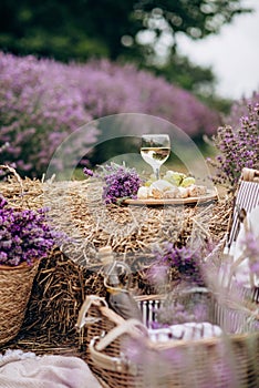 Summer picnic in the lavender field. A glass of white wine, a picnic basket, snacks and a bouquet of flowers on a haystack among