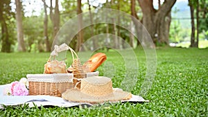 Summer picnic lunch in the beautiful green garden, picnic basket with fruits and pastries