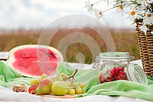 Summer picnic in the meadow on the green grass. Fruit basket, juice and bottled wine, watermelon and bread baguettes