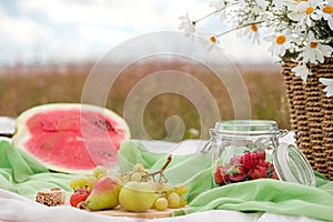Summer picnic in the meadow on the green grass. Fruit basket, juice and bottled wine, watermelon and bread baguettes