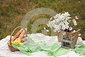 Summer picnic in the meadow on the green grass. Fruit basket, juice and bottled wine, watermelon and bread baguettes