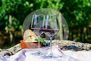 Summer picnic or outdoor tasting of red wine on vineyards in Lazio, Italy