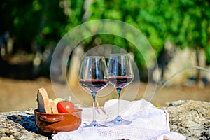 Summer picnic or outdoor tasting of red wine on vineyards in Lazio, Italy