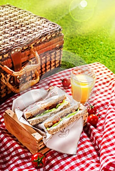 Summer picnic sandwiches