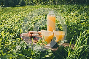 Summer picnic with sandwiches and orange juice on a green grass on a sunny day.