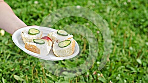 Summer picnic sandwiches on the plate in girl hand.