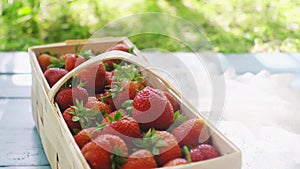 Summer Picnic with Strawberries on the Grass and Full Basket