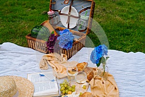 Summer picnic on sunny day with bread, fruit, bouquet hydrangea flowers, glasses wine, straw hat, book and ukulele. Picnic basket