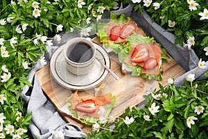 Summer picnic on a sunny day. Breakfast on green grass in the garden. Cup of black coffee with toast sandwiches with salmon