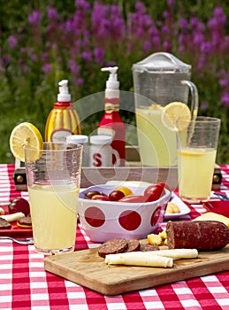 Summer picnic in wildflowers field