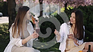 summer picnic, Wine Enjoyment, Picnic Women.