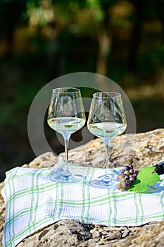 Summer picnic or wine tasting of white wine on vineyards in Lazio, Italy