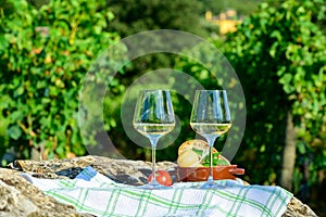 Summer picnic or wine tasting of white wine on vineyards in Lazio, Italy