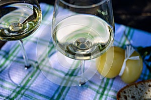 Summer picnic or wine tasting of white wine on vineyards in Lazio, Italy