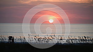 Rising Sun Over Sea Oats