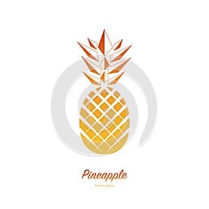 Summer Pineapple fruit. Vector illustration.