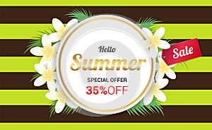 Summer Plumeria Flowers gold frame or Summer floral Design on st