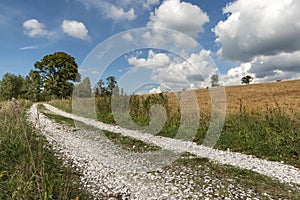 Summer Polish landscape in Sudety mountains