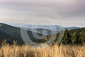 Summer Polish landscape in Sudety mountains