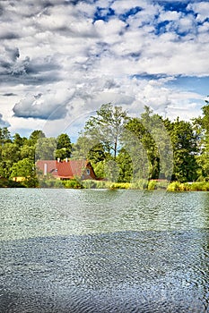 Summer pond