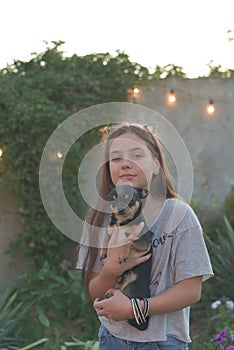 Summer portrait of a young woman on nature with a dog breed Chihuahua