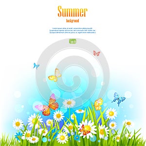 Summer positive floral background