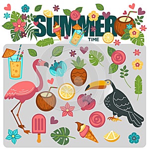 Summer poster of exotic tropical birds and flower plants pattern vector design template
