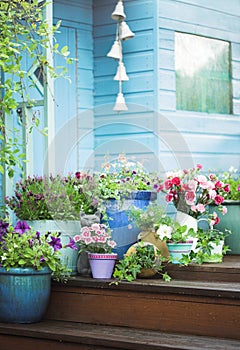 Summer potted flowers and garden shed