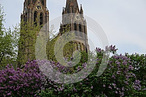 Summer in Prague (Czech Republic, Europe) with blooming lilac and great cathedral of St. Ludmila