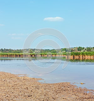 Summer Pryschukove lake landscape Kherson Region, Ukraine.