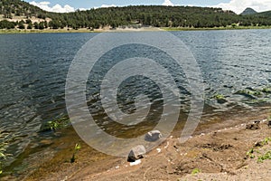 Summer at Quemado Lake, New Mexico photo