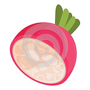 Summer radish icon cartoon vector. Healthy diet