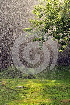 Verano la lluvia 