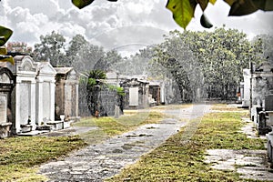 Summer Rain-New Orleans Cemetery