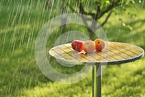 Summer rain and tomatoes