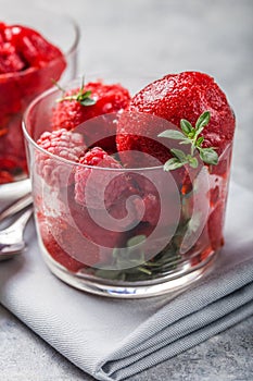 Summer raspberry sorbet with fresh raspberries, selective focus image photo