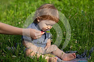 Summer ration, childcare. Good morning on the Farm. Mothers hand feeding baby with a spoon. Cute little baby is being